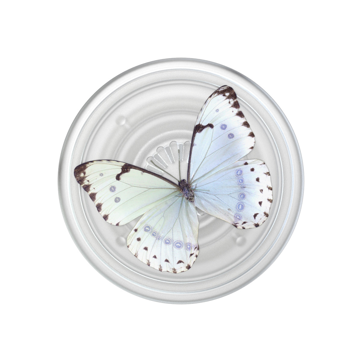 PopSockets Universal PopGrip PlantWhisper Moth
